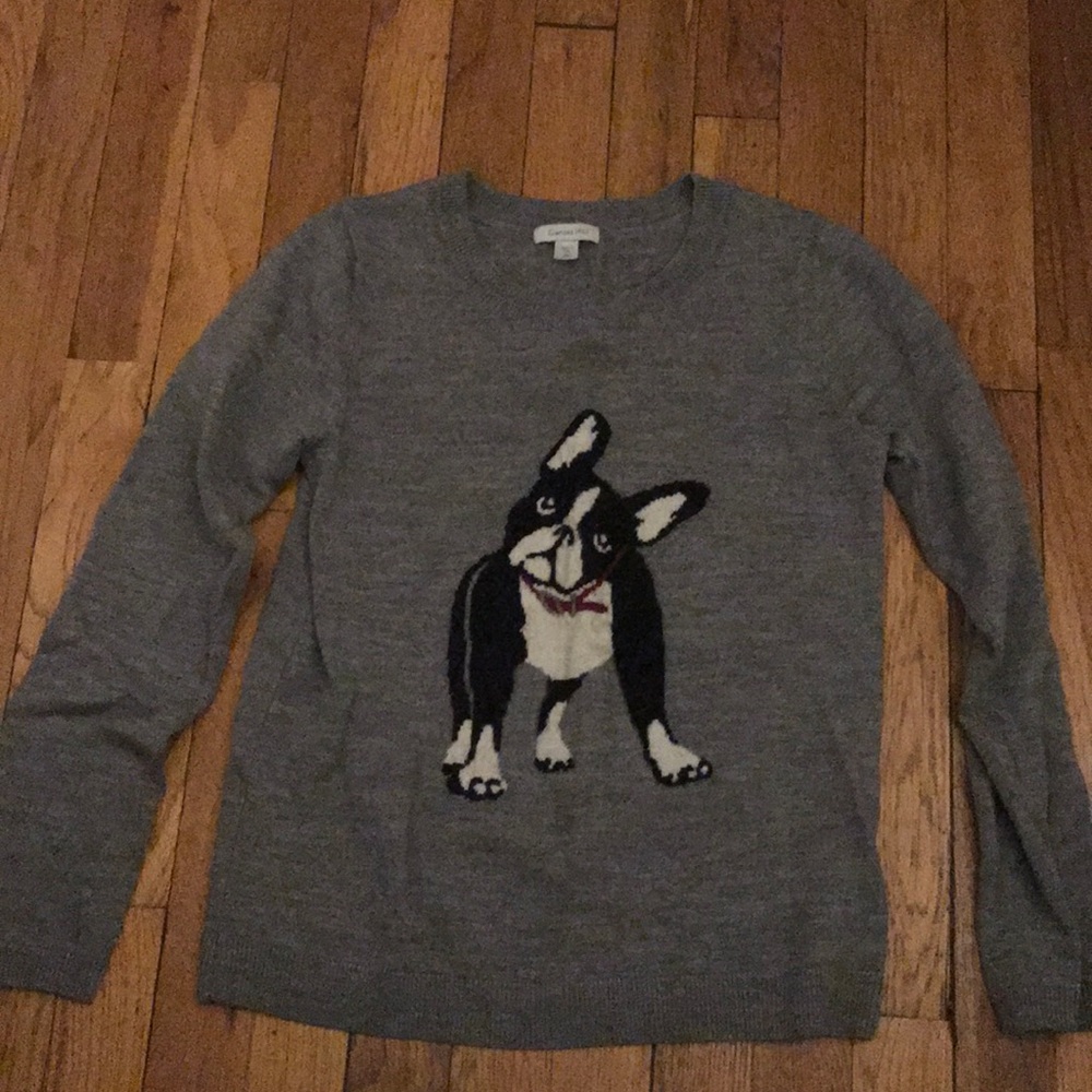 Boston terrier sweater